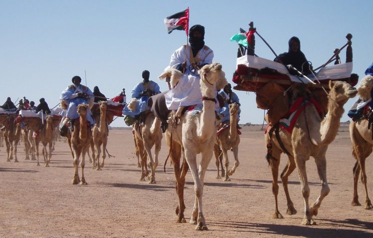 The possible role of Russia in resolving the Western Sahara question